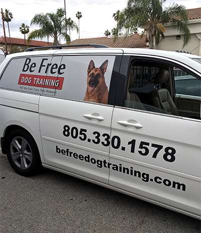 Be Free Dog Training
