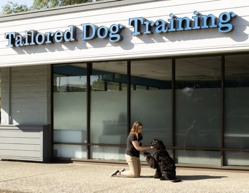 Tailored Dog Training