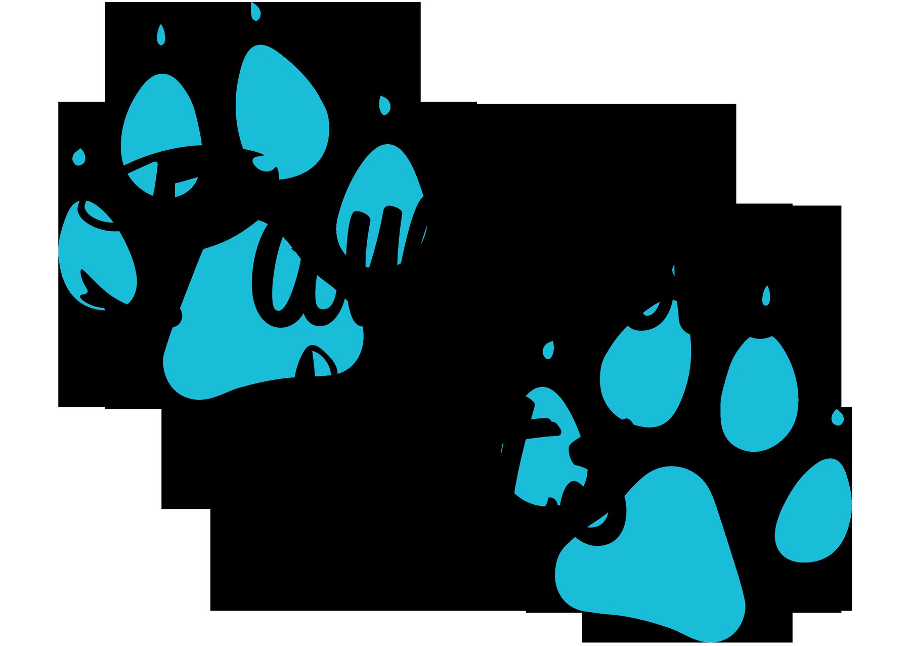 Pawsitive Pets