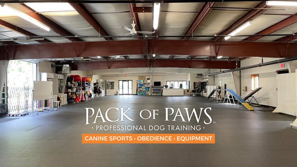 Pack of Paws Dog Training