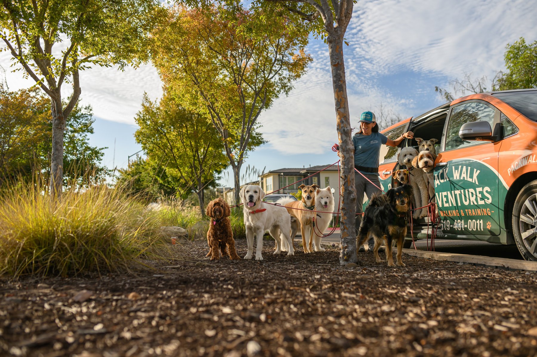 Pack Walk Adventures