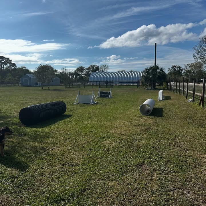Kilo9 Hotel — dog trainer in Port St. Lucie, FL