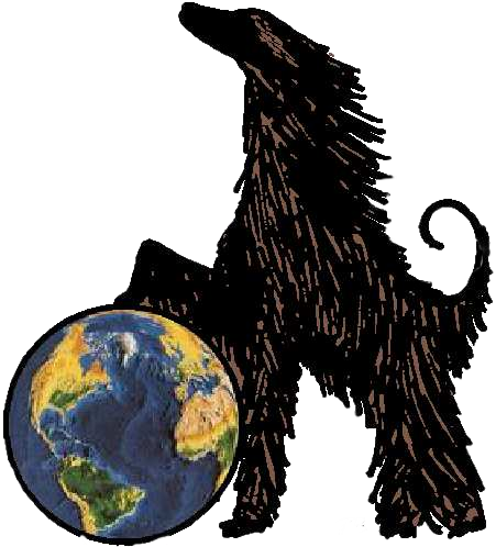 No-No FiFi Dog Training & Pet Concierge — dog trainer in Santa Fe, NM