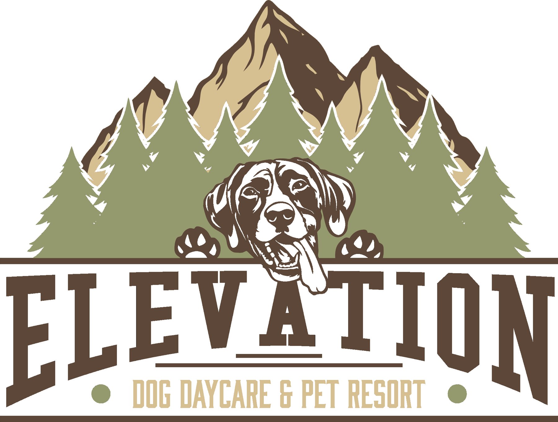 Elevation Pet Resort