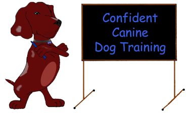 Confident Canine Dog Training, LLC