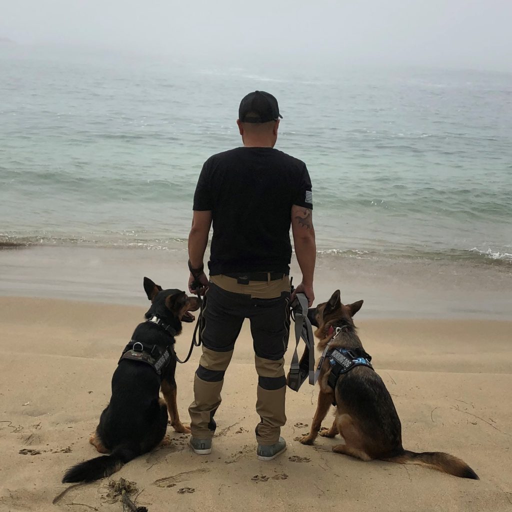 K9 Karate Dog Training