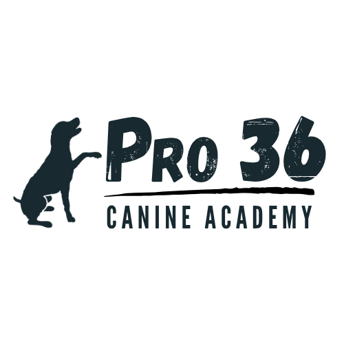 Pro 36 Canine Academy logo