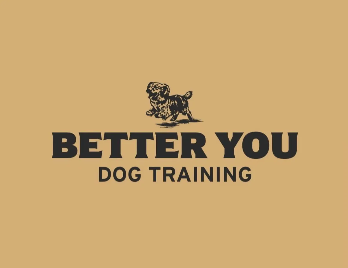 Better You Dog Training