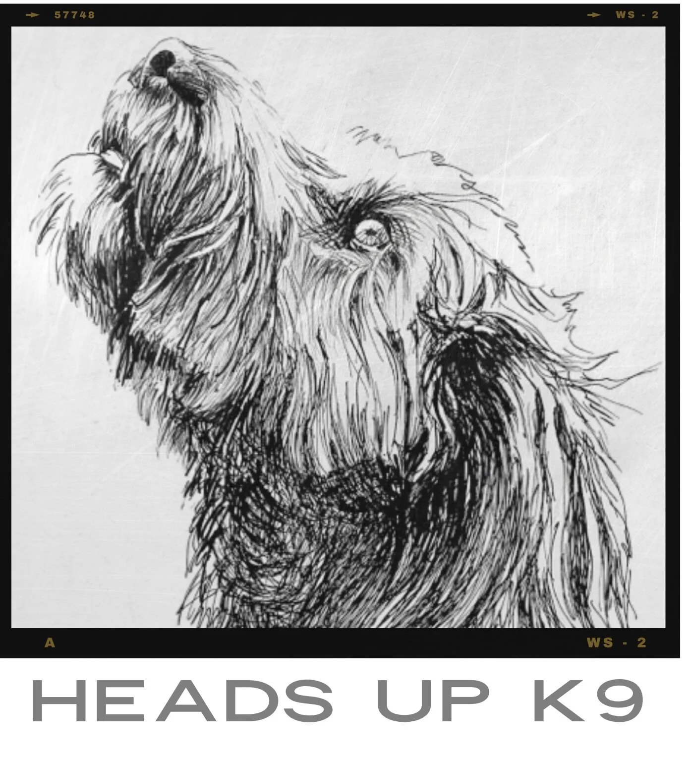 Heads Up K9