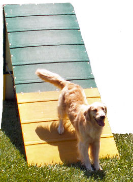 Dog Quest