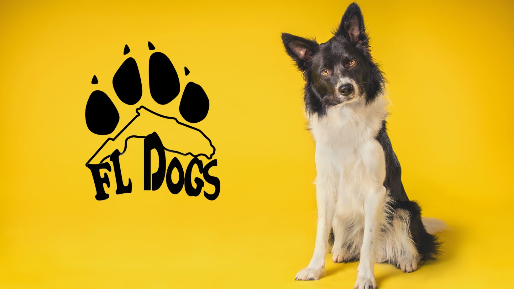FL Dogs