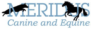 Meridus K9 & Equine, LLC logo