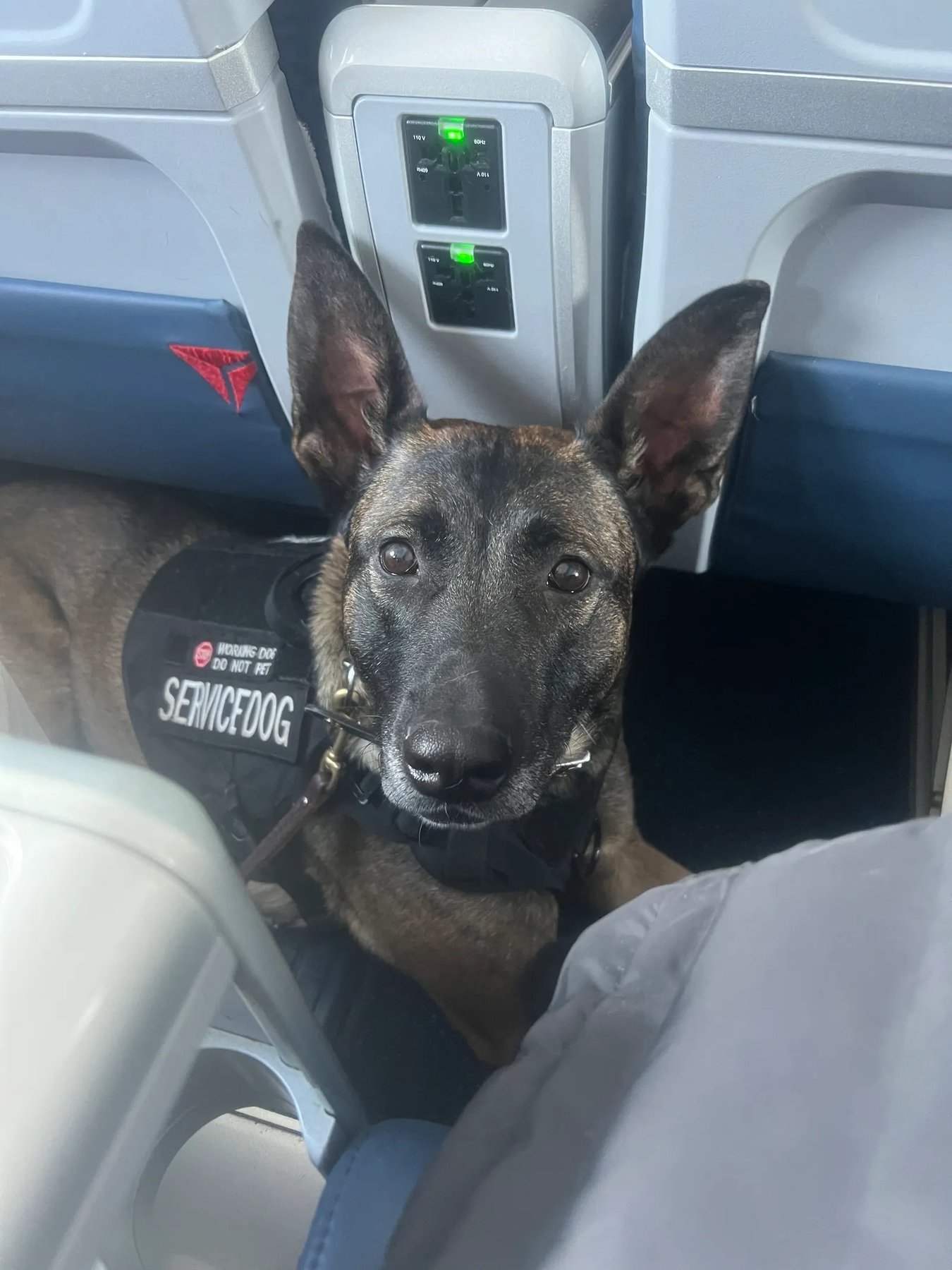 Unity K9 Training Academy