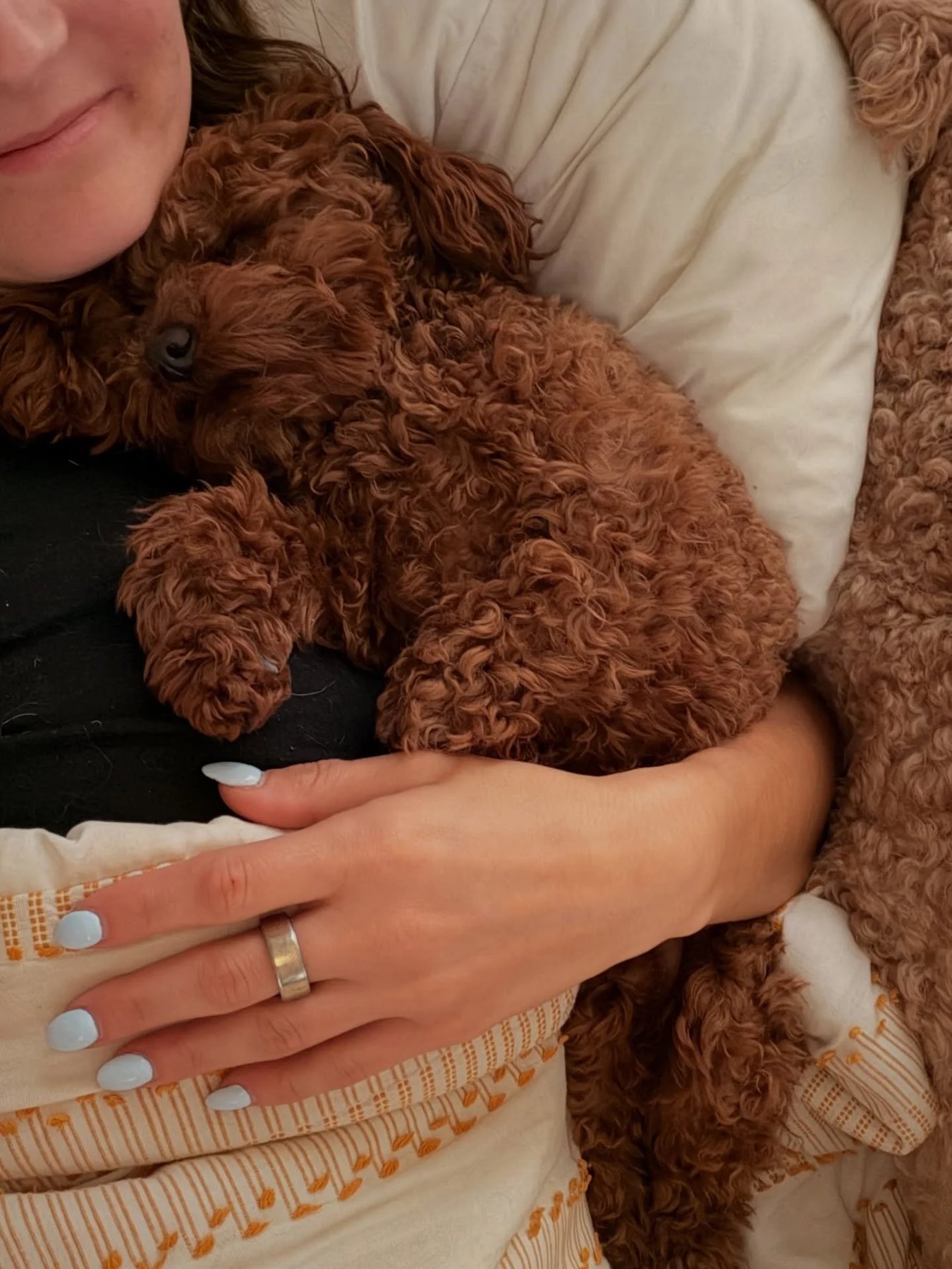 Paws and Play Training — dog trainer in Toms River, NJ