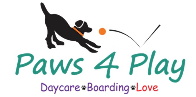 Paws 4 Play logo