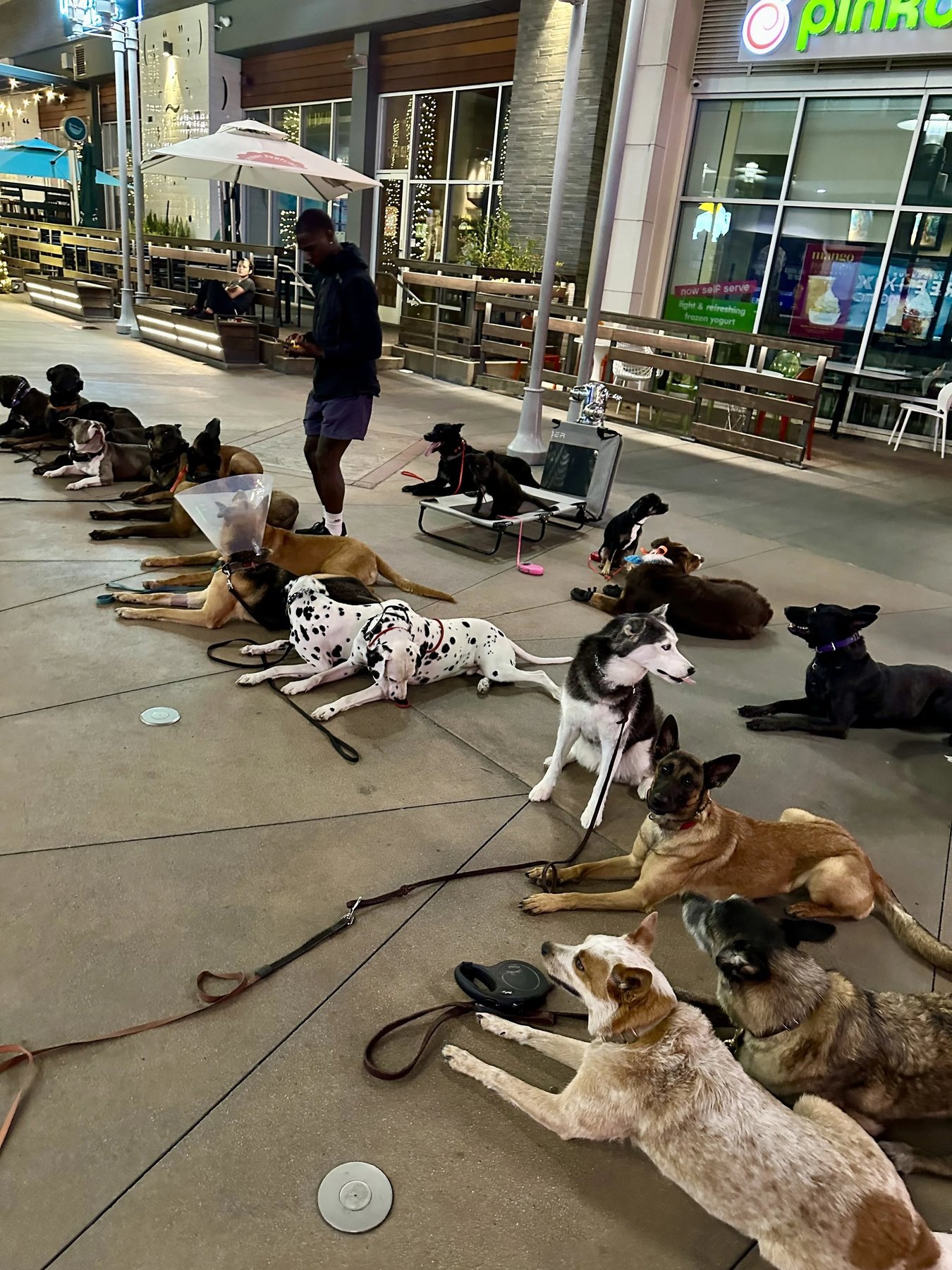 WESSMADE K9