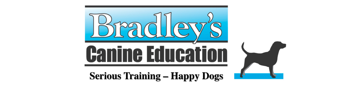 Bradley’s Canine Education
