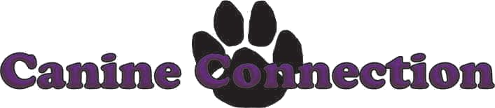 Canine Connection USA — dog trainer in Naples, FL