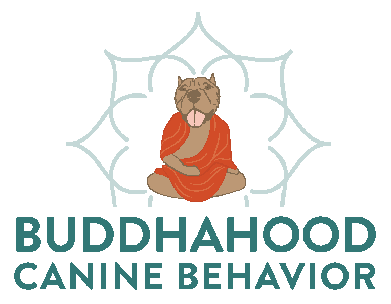 Buddhahood Canine Behavior — dog trainer in Dallas, TX
