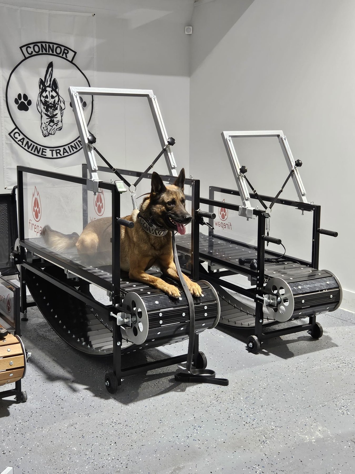 Connor Canine Training — dog trainer in Miami, FL
