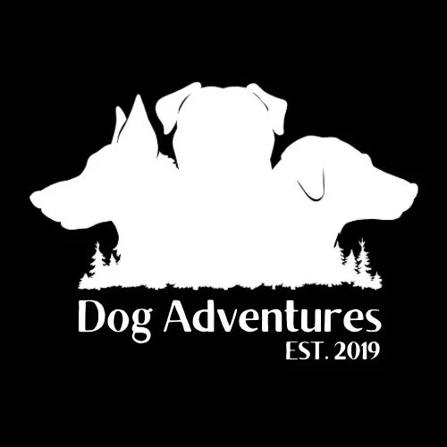 Dog Adventures LLC — dog trainer in Cambridge, MA
