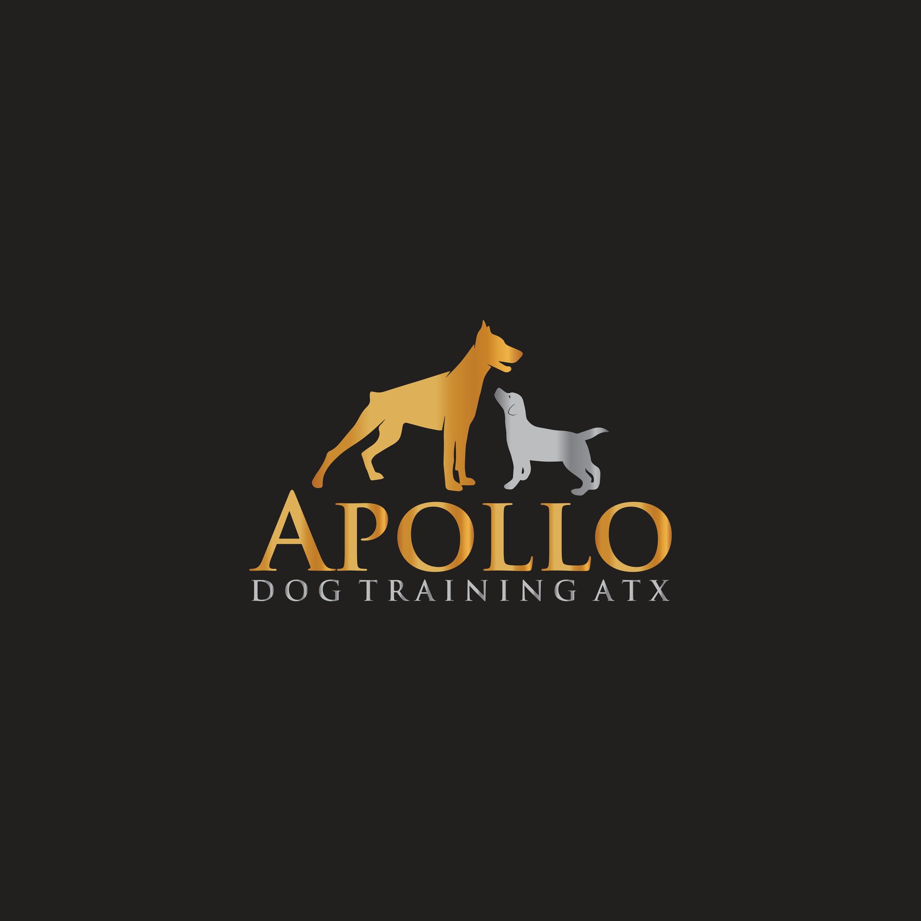 Apollo Dog Training — dog trainer in Georgetown, TX