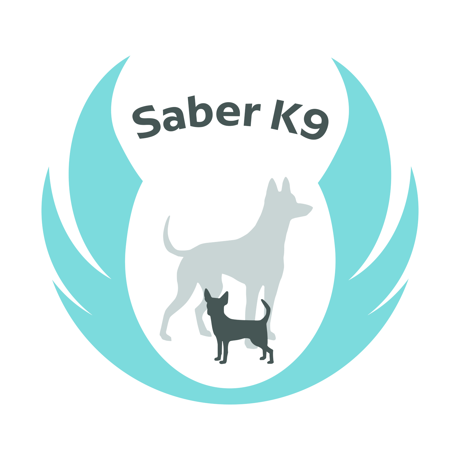 Saber K9 — dog trainer in Worcester, MA