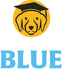 Obedient BLUE “School for dogs” — dog trainer in Towson, MD