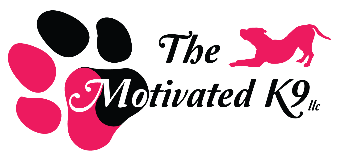The Motivated K9 logo