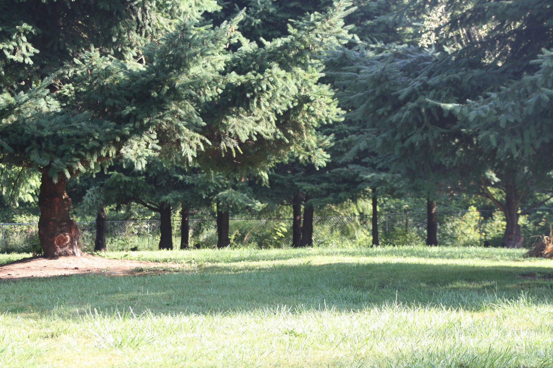Lone Pine Boarding Kennels, LLC
