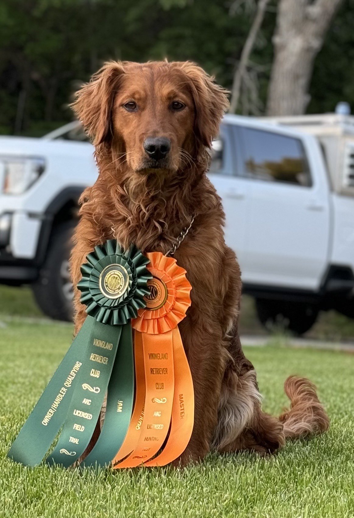 Patriot Retrievers