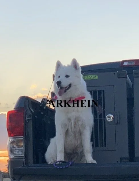 Arkhein K9, LLC