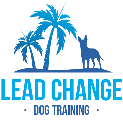 Lead Change Dog Training
