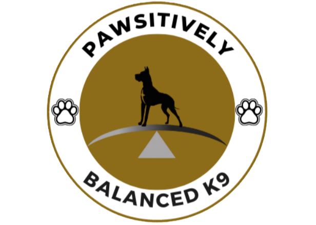 PAWSitively Balanced Dog Training