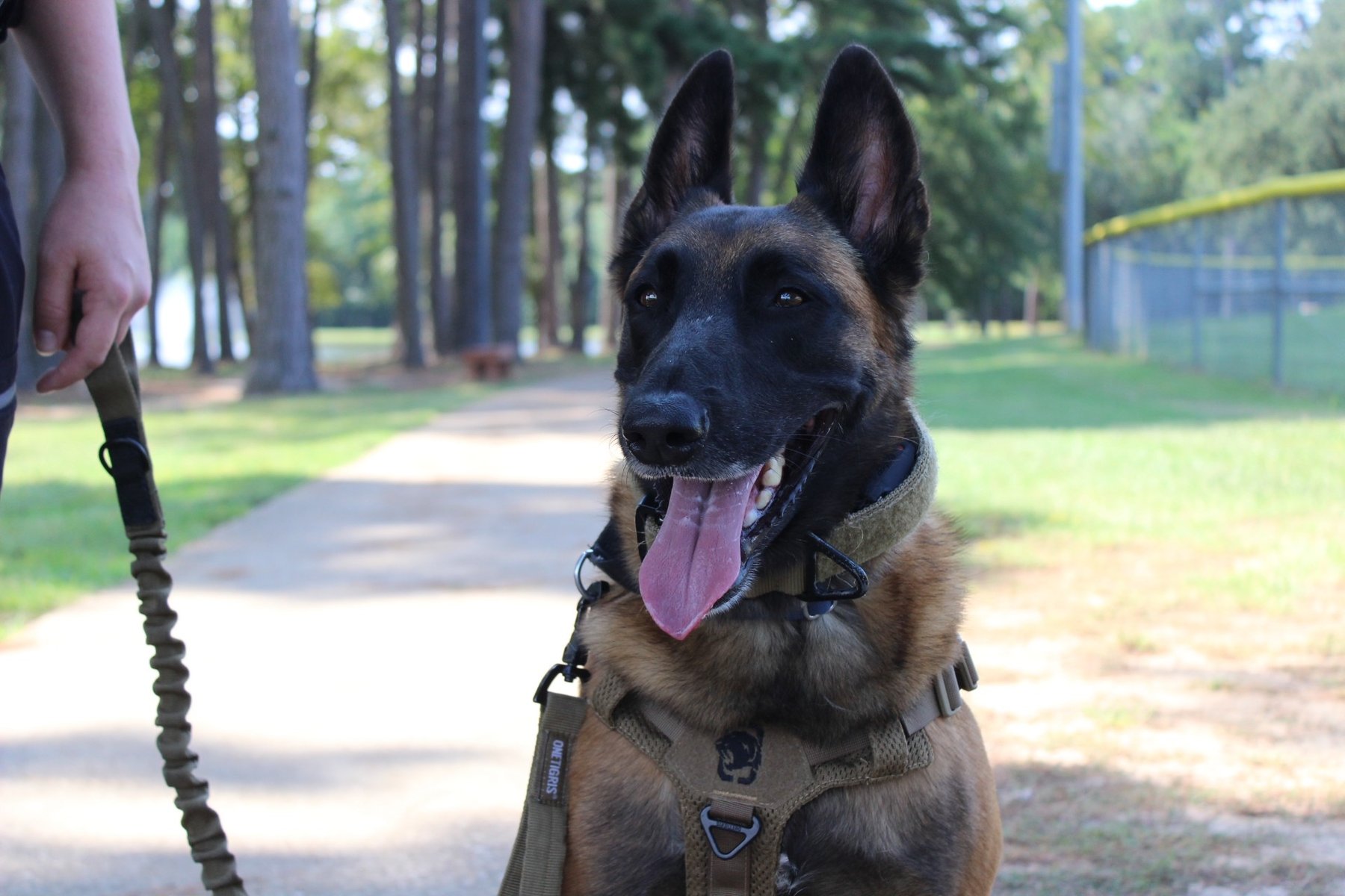 Nikao Working K9s- Dog Boarding and Training in East Texas — dog trainer in Tyler, TX