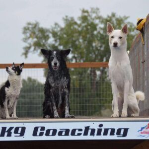 Billings K9 Coaching