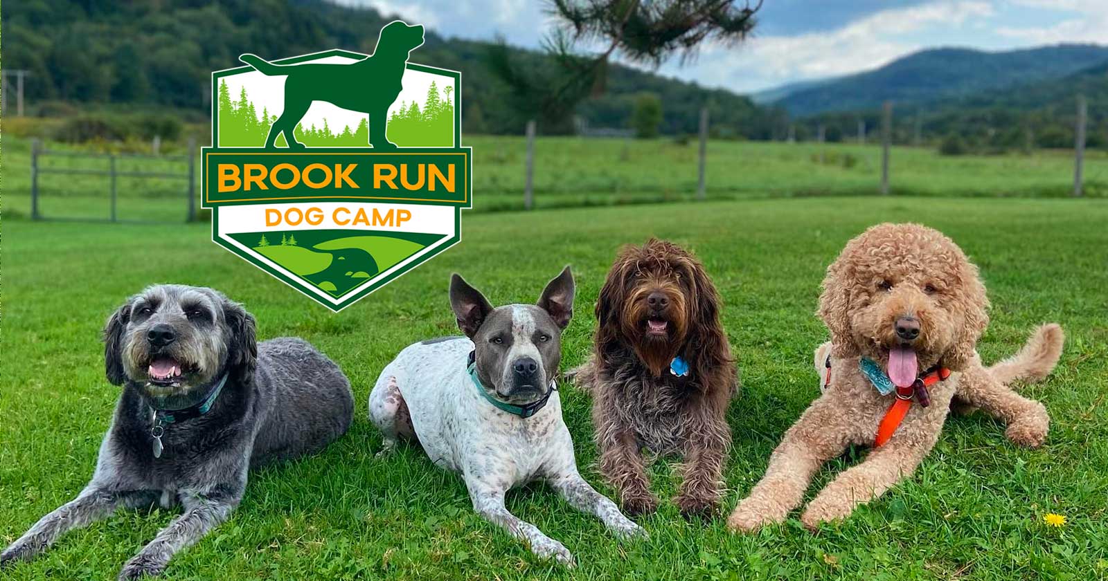 Brook Run Dog Retreat
