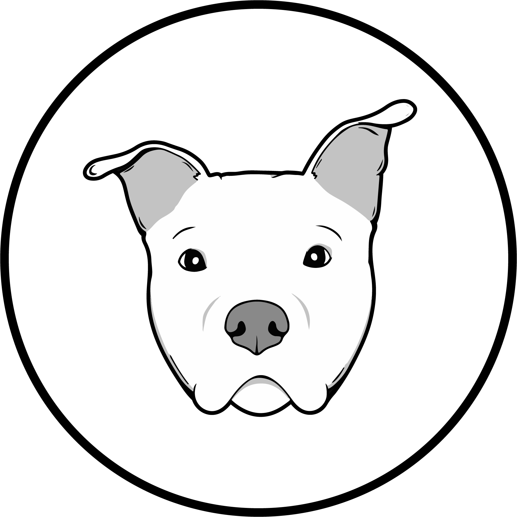 From Dusk Till Dog — dog trainer in Deptford, NJ