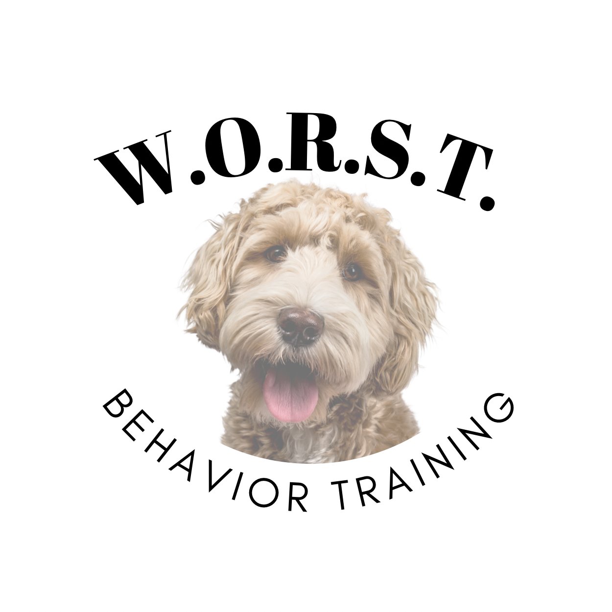 W.O.R.S.T. Behavior Puppy Training — dog trainer in Fort Myers, FL