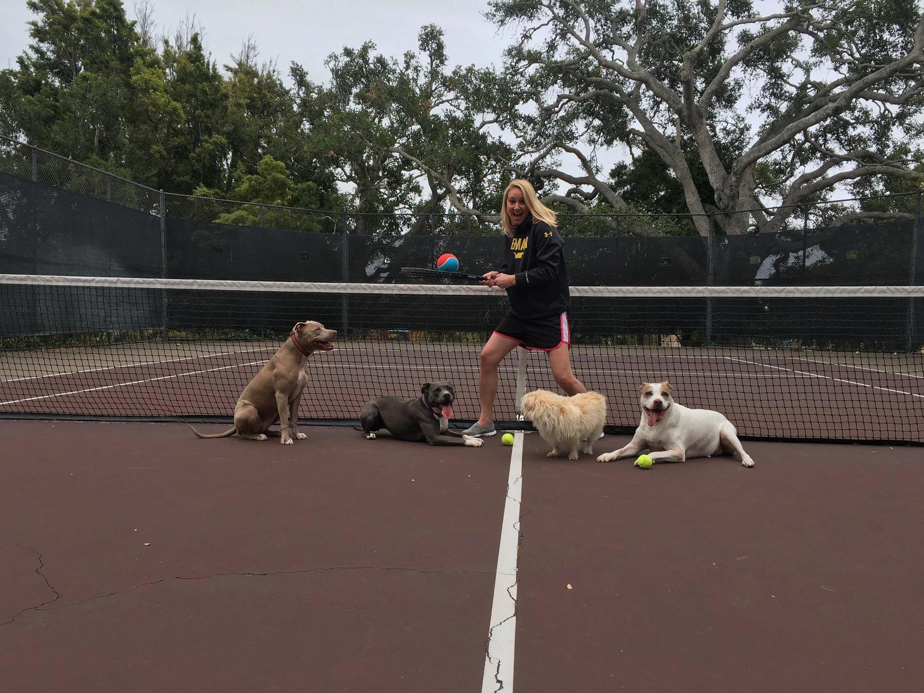 Portland’s Premier Dog Trainer