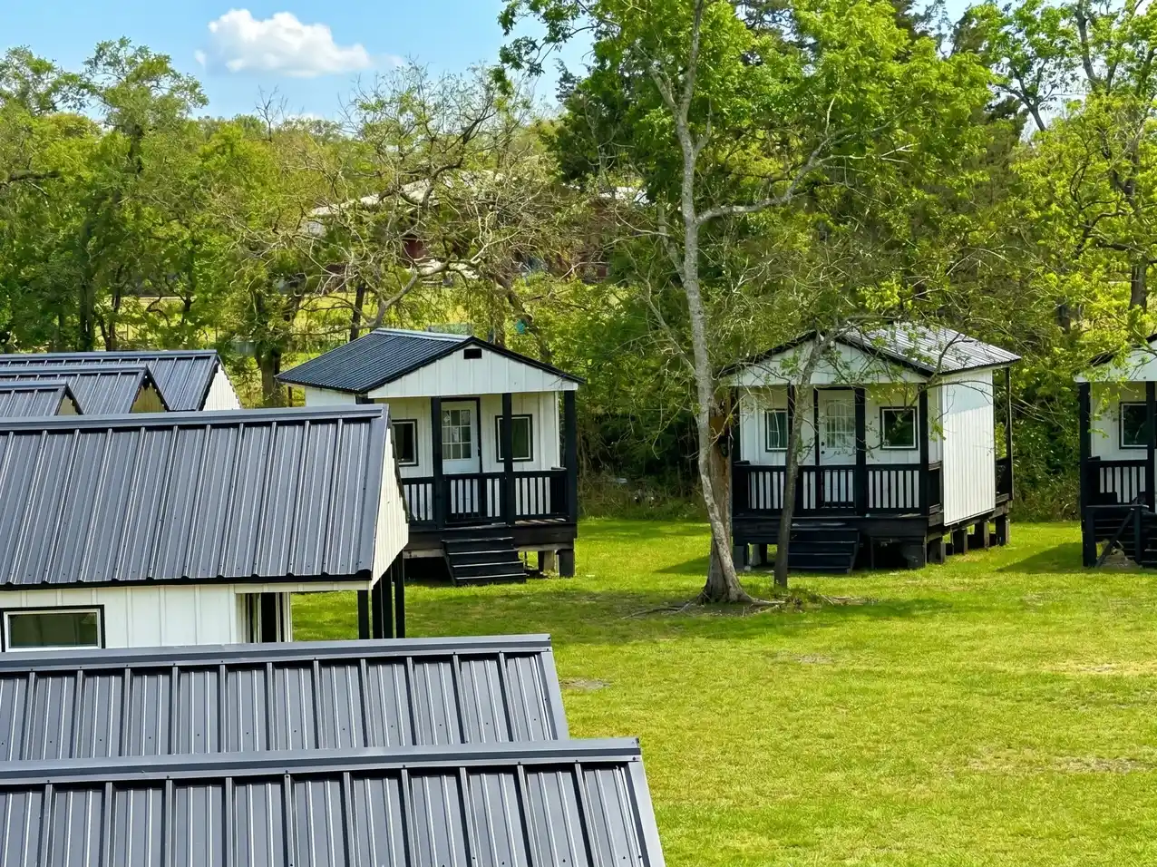 Uppity Pet Salon & Resort