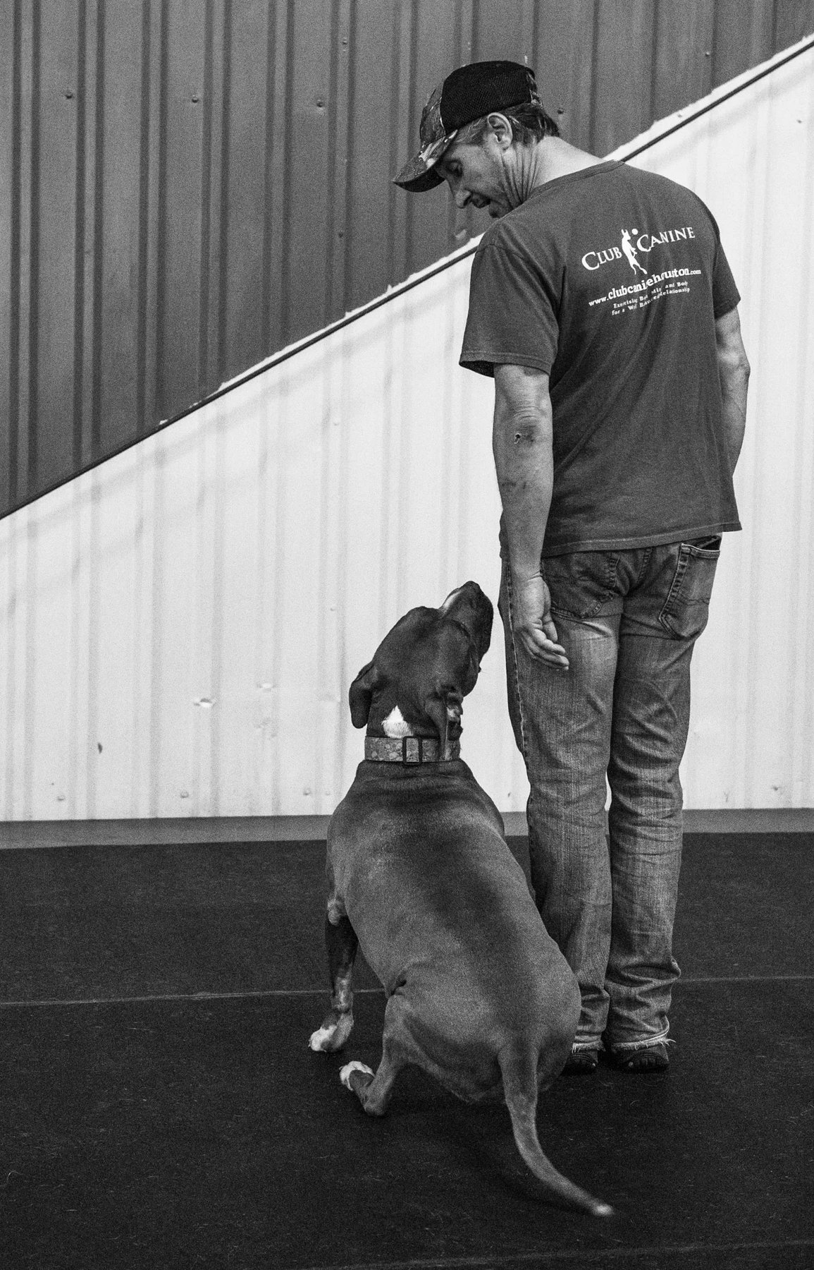 Club Canine Houston LLC