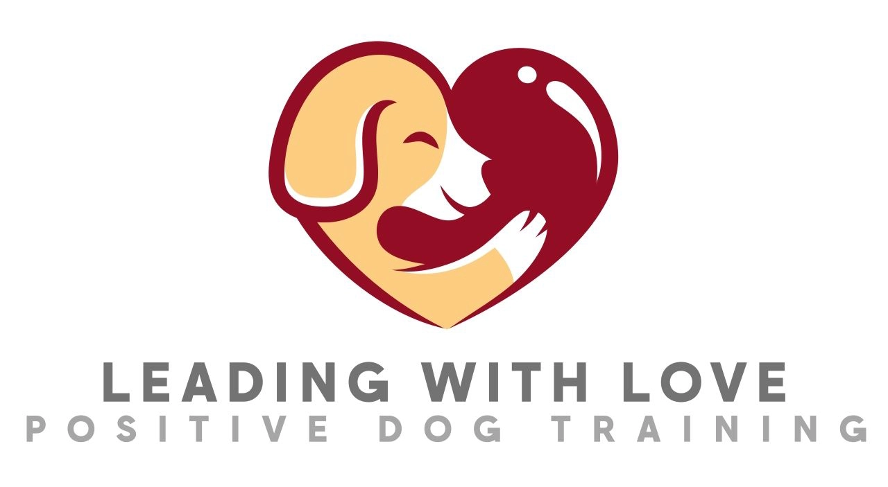 Leading With Love: Waco Dog Training