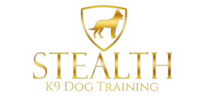 Stealth K9 Dog Training