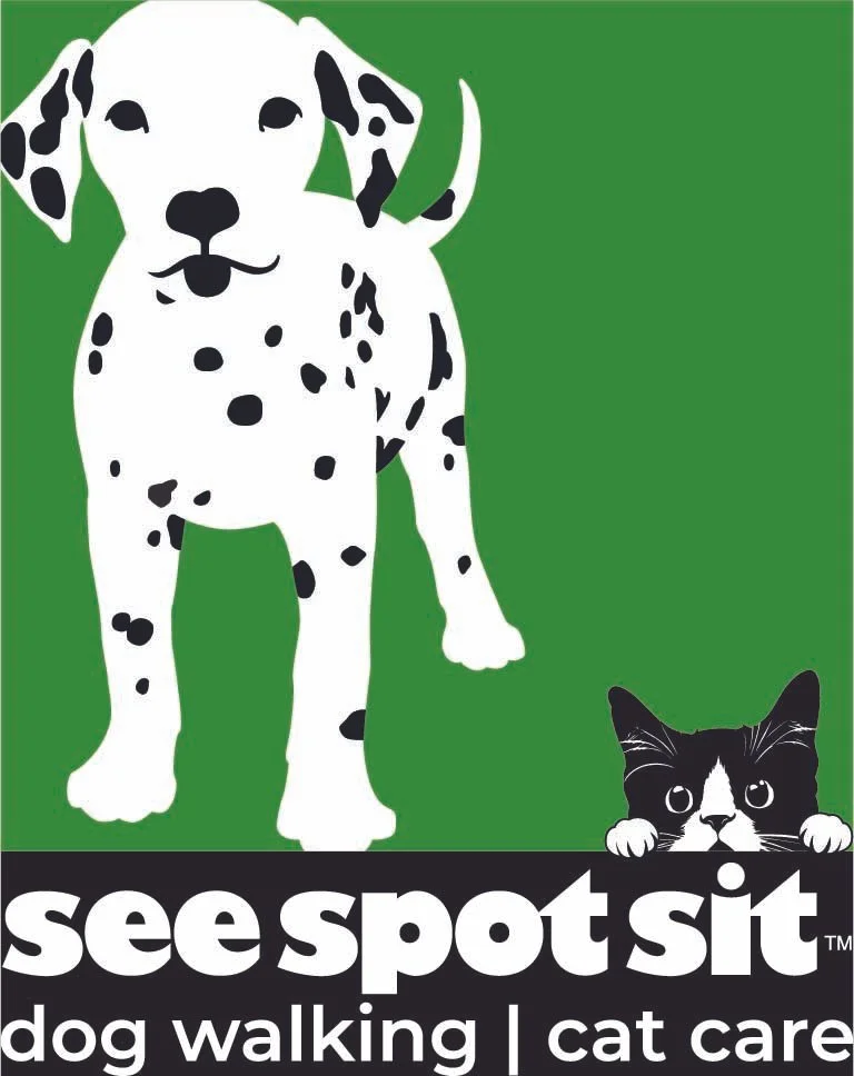 See Spot Sit