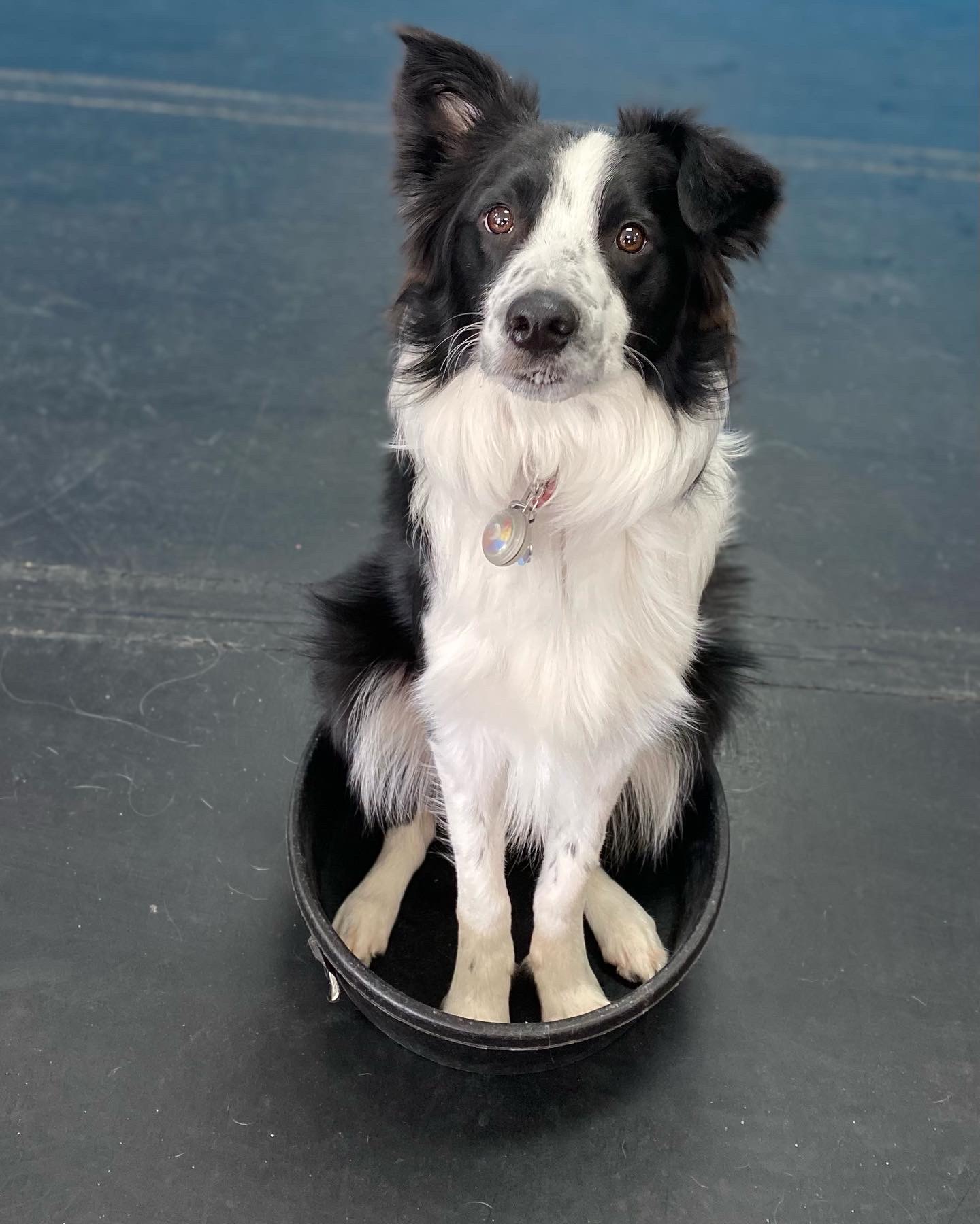 Sit Happens