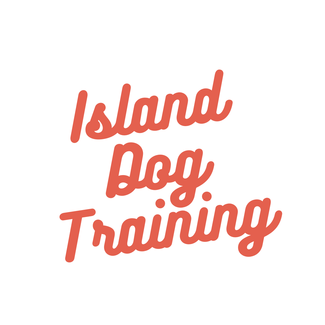 Island Dog Training — dog trainer in Barnstable, MA
