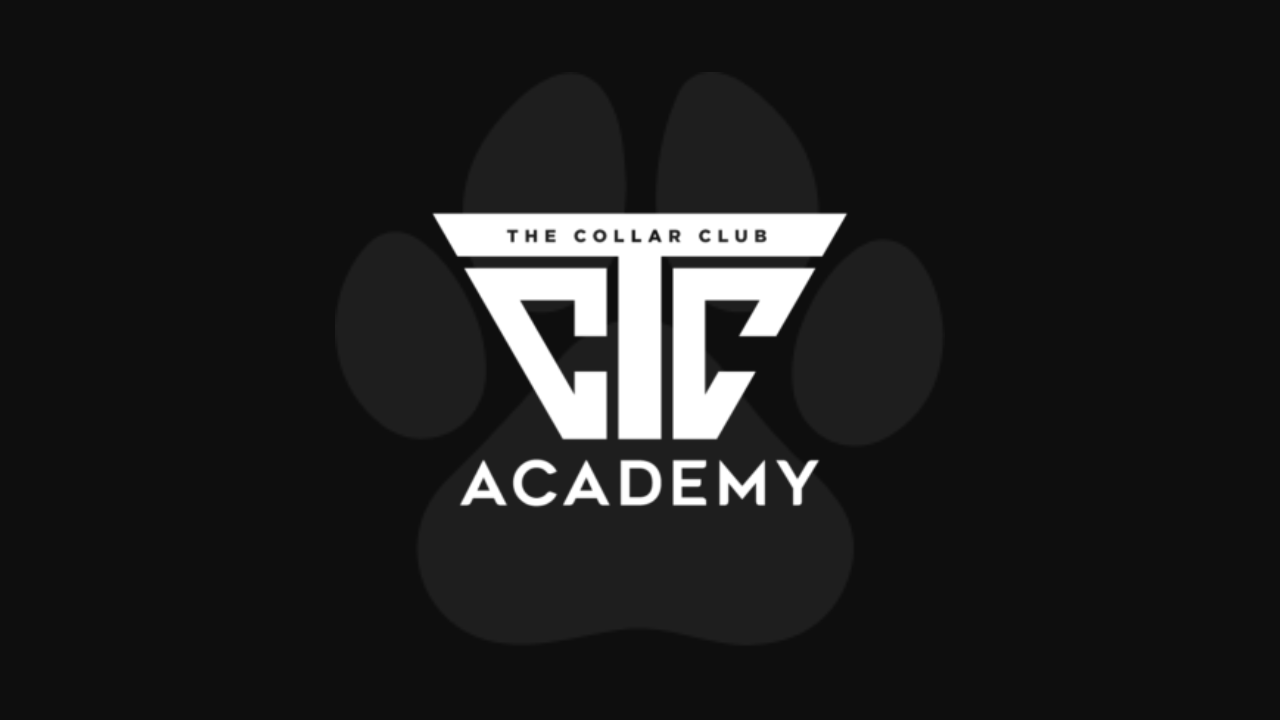 The Collar Club Academy
