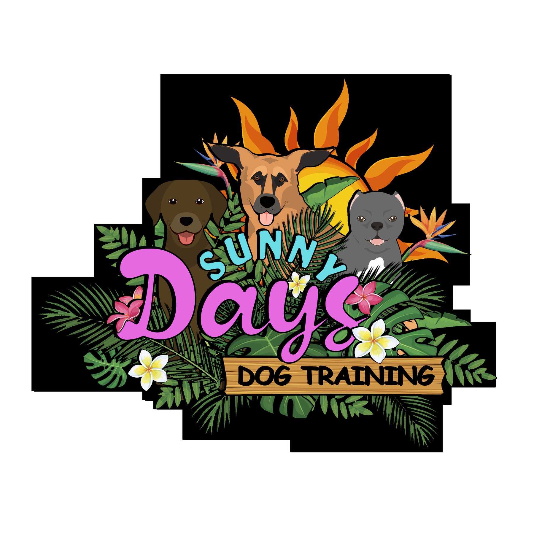 Sunny Days Dog Training LLC — dog trainer in Orlando, FL