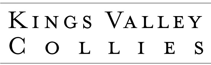 Kings Valley Collies logo